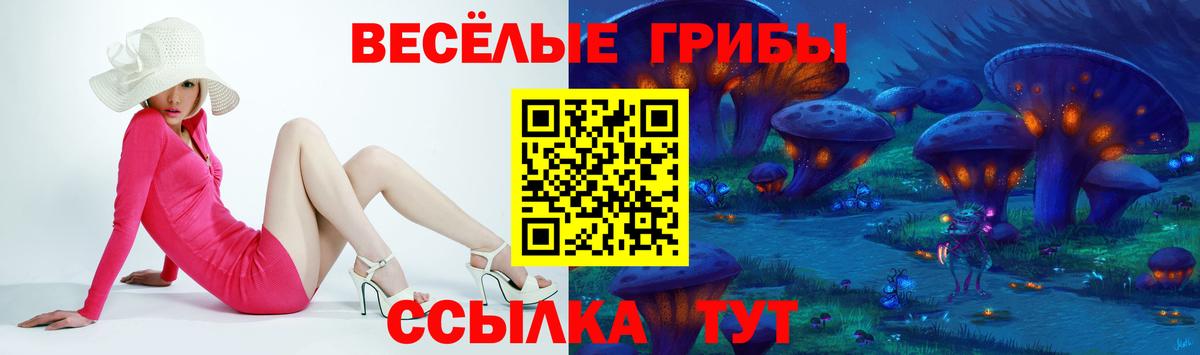 Псилоцибиновые грибы GOLDEN TEACHER  Псилоцибиновые грибы ЛСД  Вход с VPN  что такое   Тара 